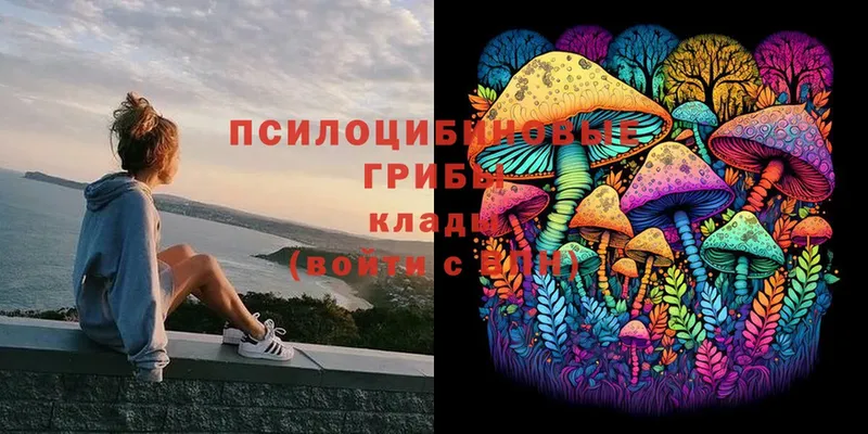 гидра tor  Зея  Псилоцибиновые грибы MAGIC MUSHROOMS 